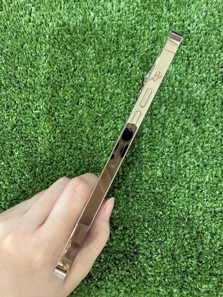Apple IPHONE 13 PROMAX