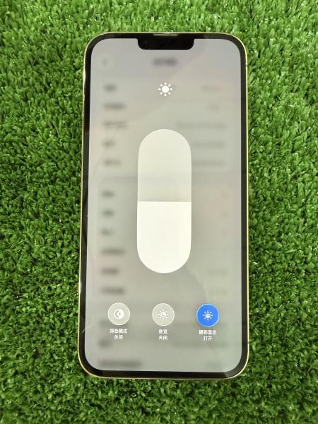 Apple IPHONE 13 PROMAX