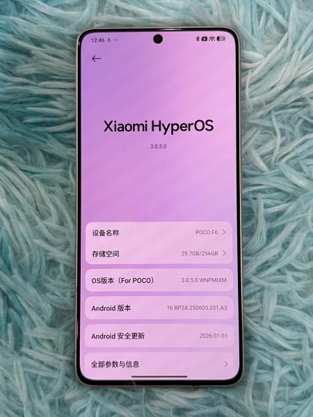 Xiaomi POCO F6