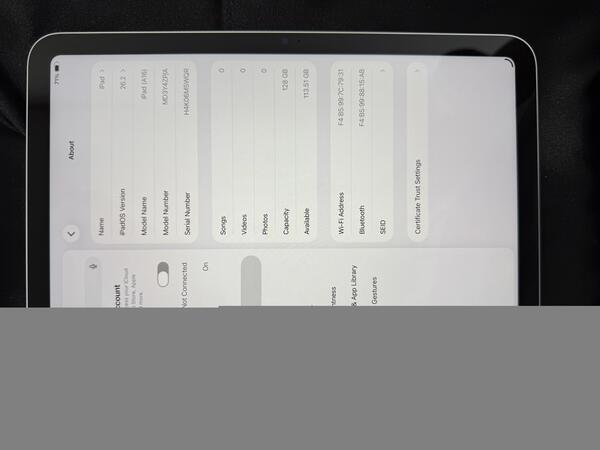 Apple iPad (A16)