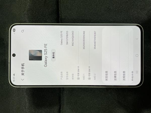 Samsung SAMSUNG S25 FE