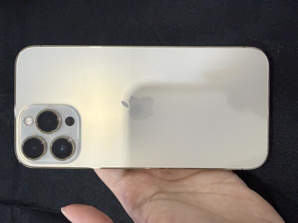 Apple iPhone 13 Pro Max