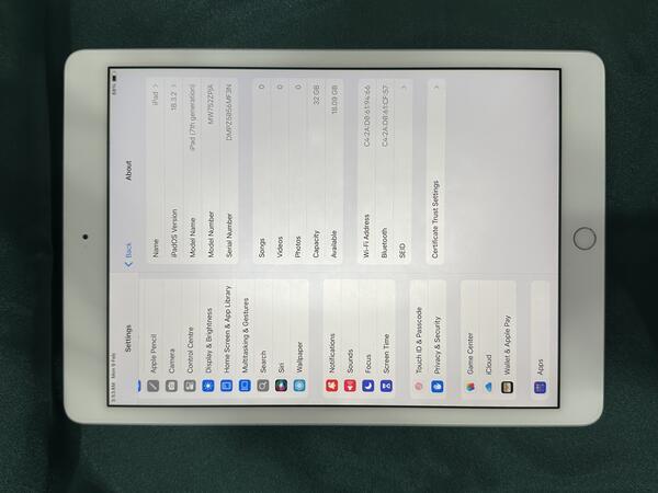 Apple iPad (A16)