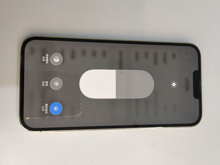 Apple iPhone 13 Pro Max — photo 9 of 11