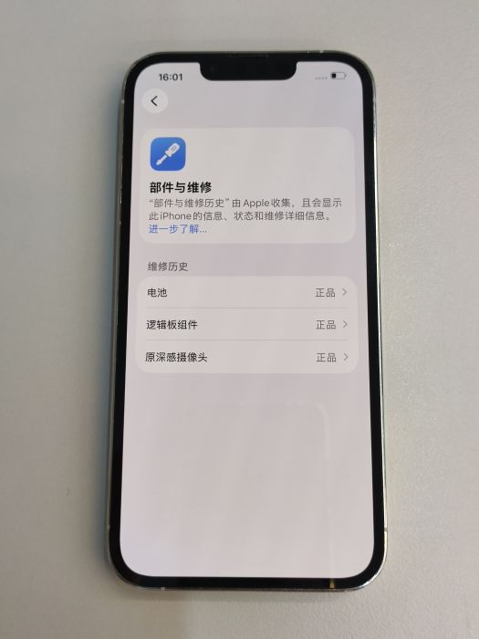Apple iPhone 13 Pro — photo 10 of 11