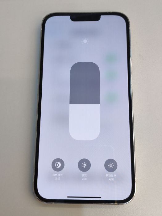Apple iPhone 13 Pro Max — photo 9 of 10