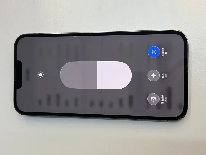 Apple iPhone 13 Pro Max — photo 6 of 10