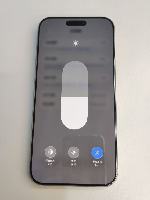 Apple iPhone 16 Pro Max — photo 9 of 10