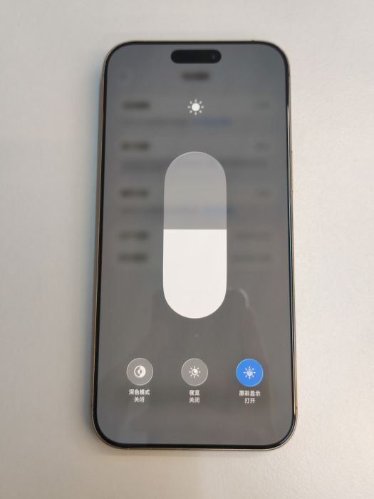 Apple iPhone 16 Pro Max — photo 9 of 10