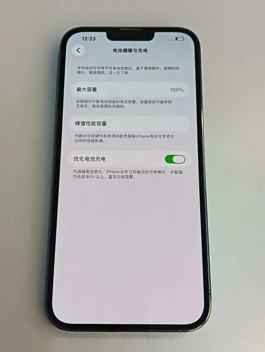Apple iPhone 13 Pro Max — photo 10 of 10