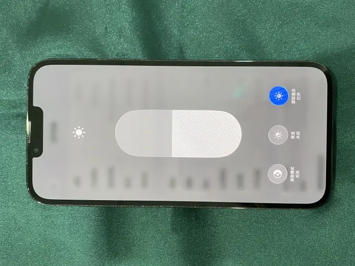 Apple iPhone 13 Pro Max — photo 6 of 10