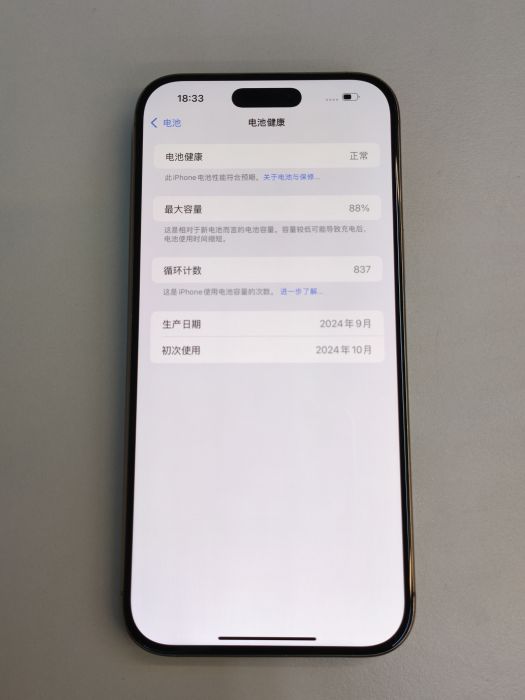 Apple iPhone 16 Pro Max — photo 10 of 11