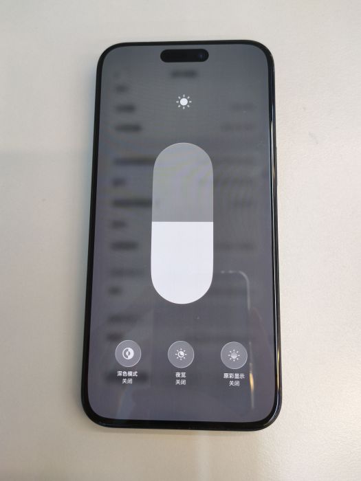 Apple iPhone 15 Pro Max — photo 9 of 10