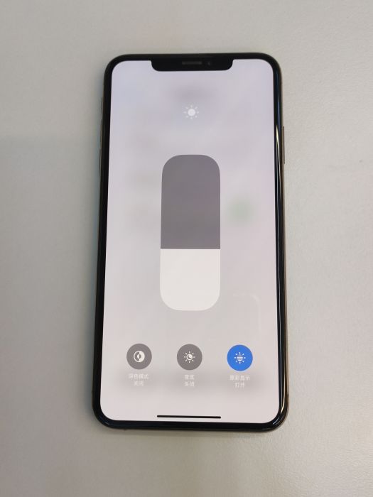 Apple iPhone XS Max — photo 7 of 8