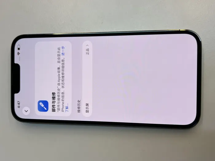 Apple iPhone 13 Pro Max — photo 9 of 11