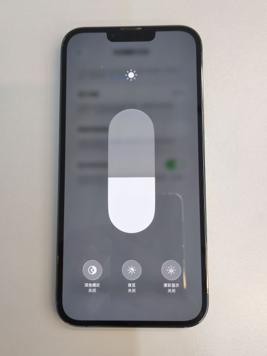Apple iPhone 13 Pro Max — photo 9 of 10