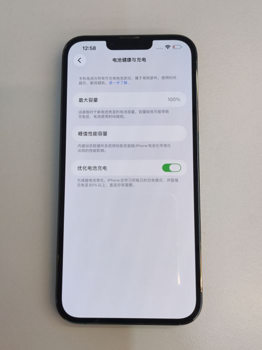 Apple iPhone 13 Pro Max — photo 10 of 10