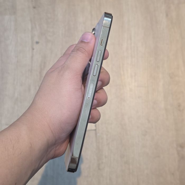 iPhone 13 Pro Max · 2/6