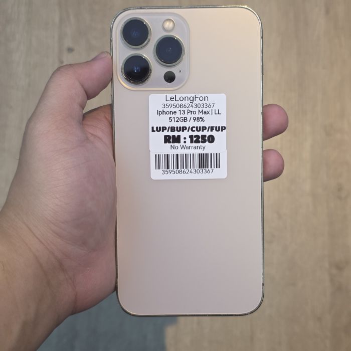 iPhone 13 Pro Max