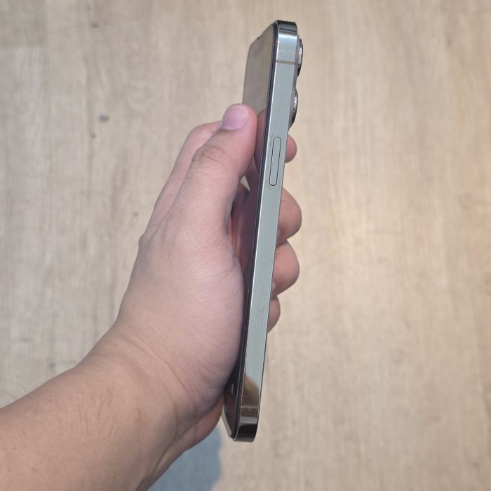 iPhone 13 Pro Max · 3/6