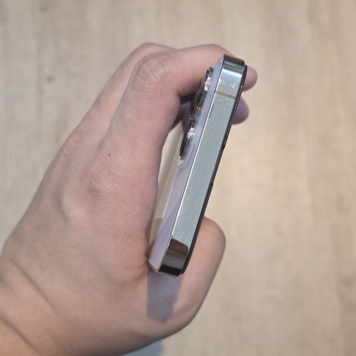 iPhone 13 Pro Max · 5/6