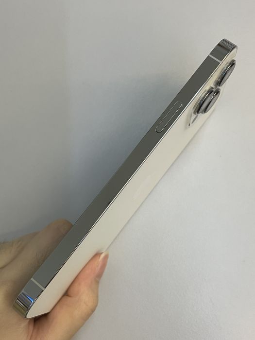 iPhone 13 Pro Max · 3/9
