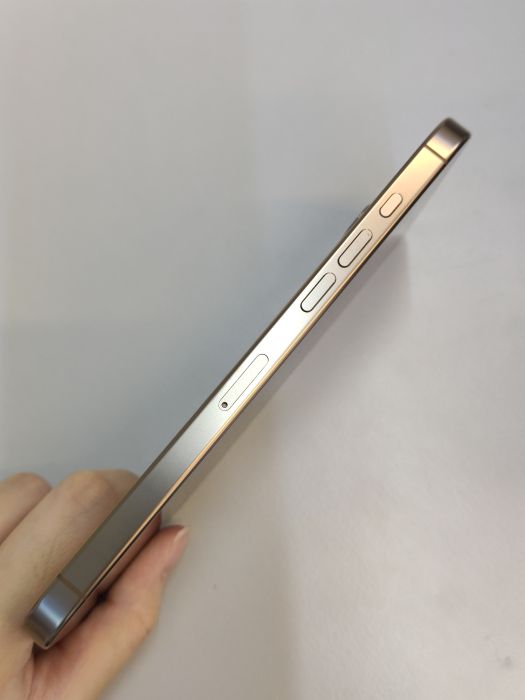 iPhone 16 Pro Max · 2/6