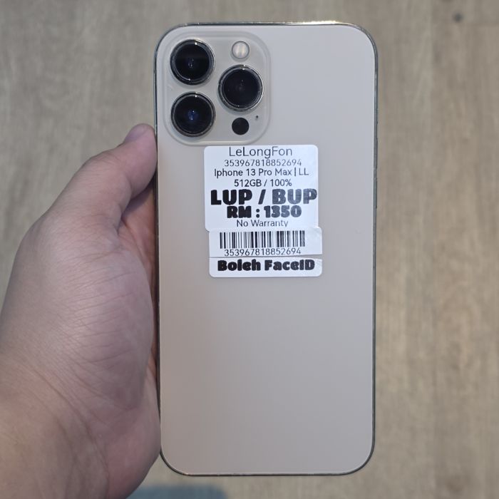 iPhone 13 Pro Max