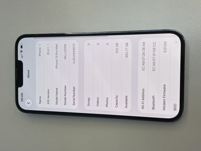 iPhone 13 Pro Max · 8/9