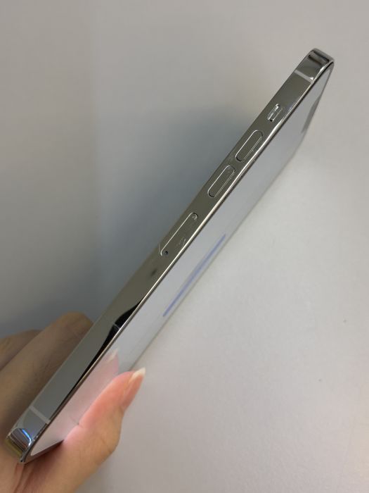 iPhone 13 Pro Max · 2/10