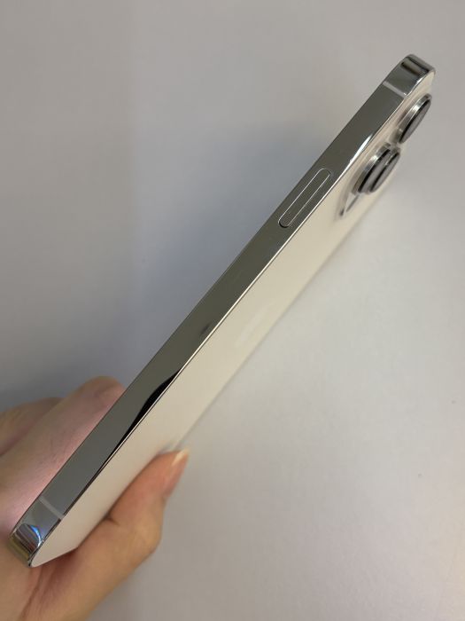 iPhone 13 Pro Max · 3/10