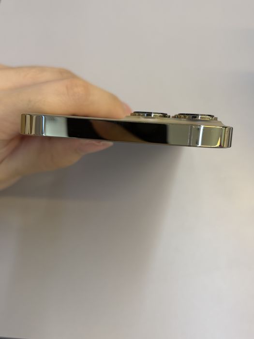 iPhone 13 Pro Max · 5/9